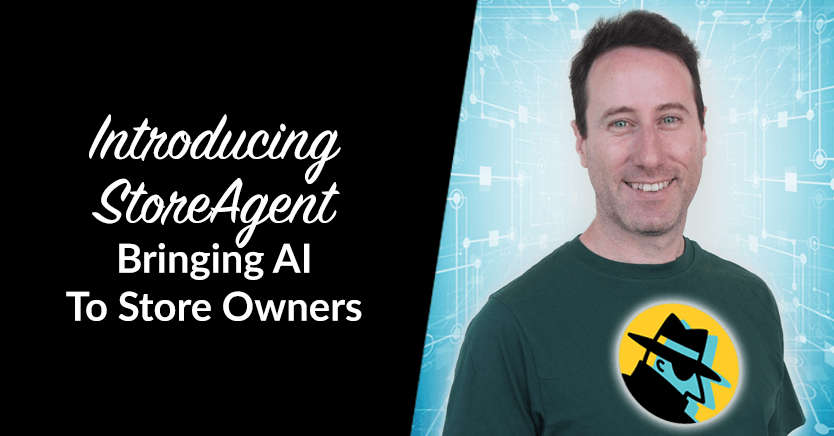 Introducing StoreAgent: Bringing AI To Store Owners