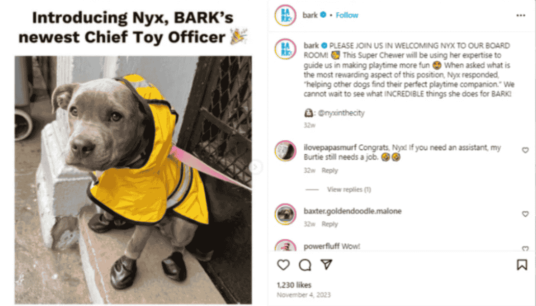 UGC contest Strategy-storeagent - StoreAgent Pet owner community engagement strategy with dog wearing Chief Toy Officer badge from social media contest